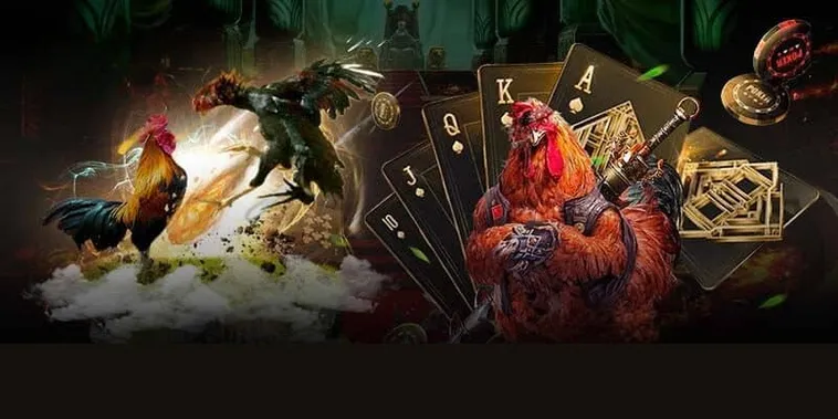 Hướng Dẫn Cách Chơi Đá Gà GA28 Tại Bet69 Dễ Hiểu Cho Người Mới 1 Hướng Dẫn Cách Chơi Đá Gà GA28 Tại Bet69 Dễ Hiểu Cho Người Mới