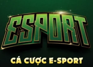 Cách Chơi Thể Thao Điện Tử Bet69 Hấp Dẫn Dễ Thắng Cho Người Mới